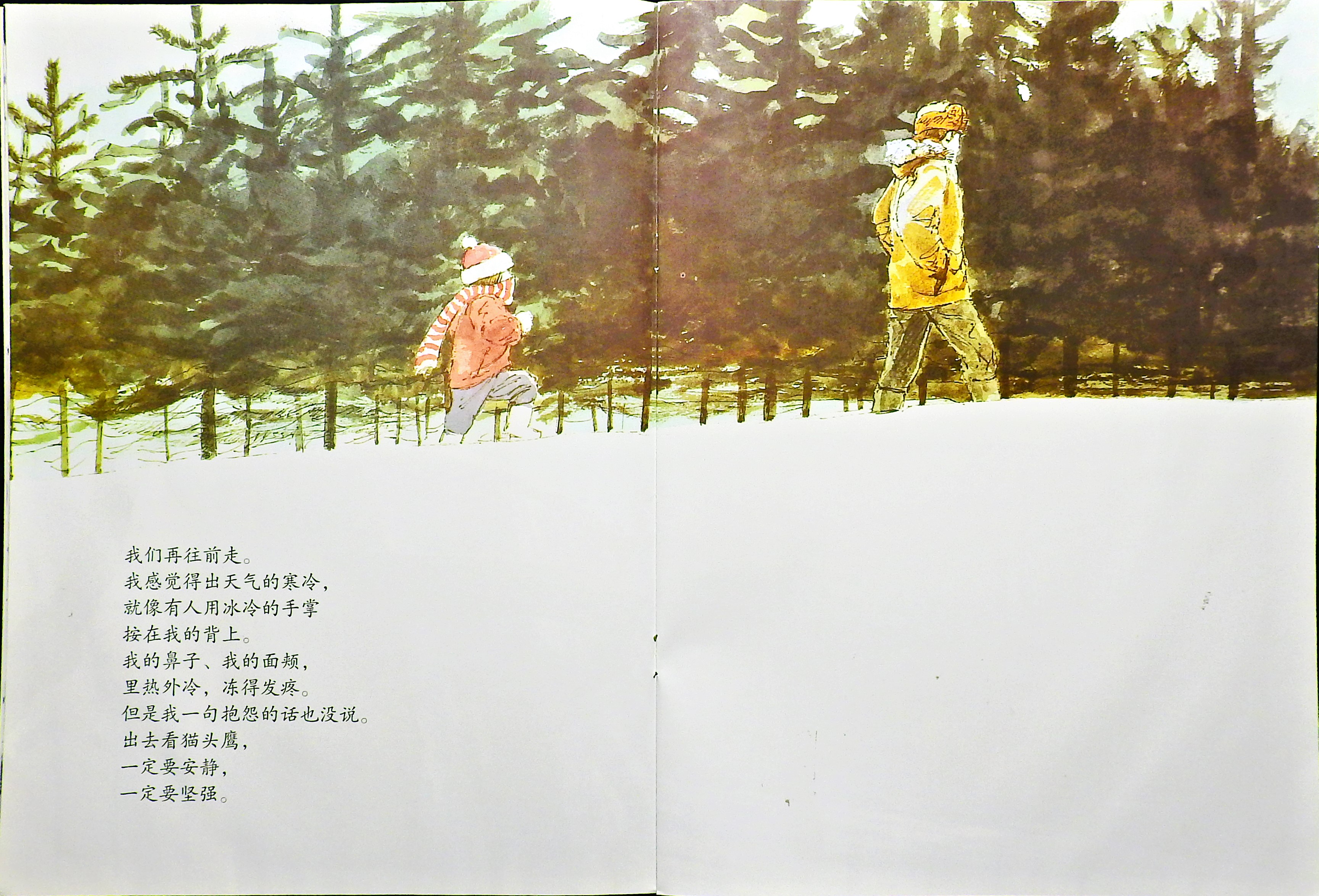 月下看猫头鹰 (09),绘本,绘本故事,绘本阅读,故事书,童书,图画书,课外阅读